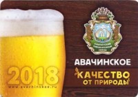 Календарик Авачинское