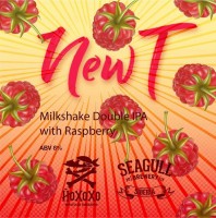 NewT with Raspberry