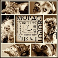 Мордоворот