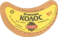 Ячменный Колос