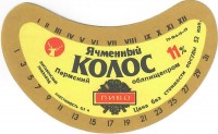 Ячменный колос