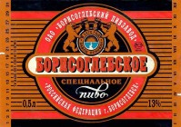 Борисоглебское специальное