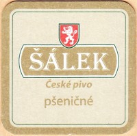 Salek