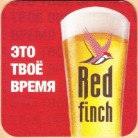 Red finch 1