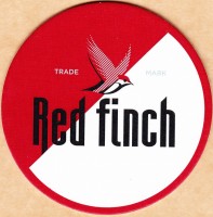 Red finch