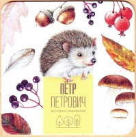 Петр Петрович 3